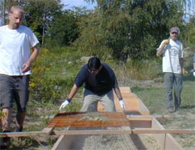 Men seive earth into raised beds for planting