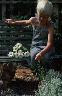 Boy on bench with daisies
